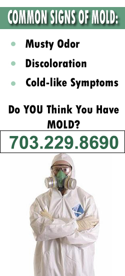 Reston Mold Remediation Contractor